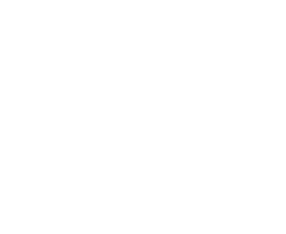 Longevity Village